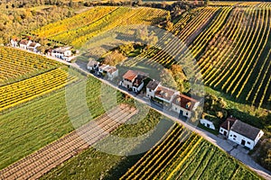Enzersfeld in Weinviertel region, aerial view. vineyards and vine cellar road