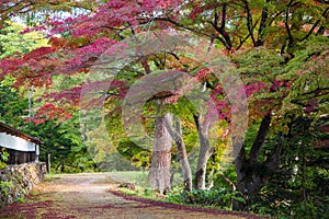Enzoji Temple Atumn Season at Japan photo