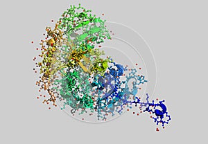 Enzym molecular model