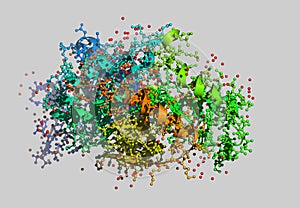 Enzym molecular model
