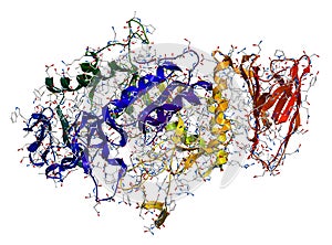 Enzyme Alpha-Amylase