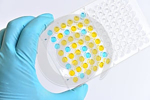 Enzyme-linked immunosorbent assay or ELISA plate