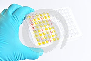 Enzyme-linked immunosorbent assay or ELISA plate