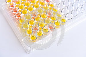 Enzyme-linked immunosorbent assay or ELISA plate