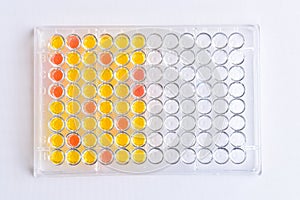 Enzyme-linked immunosorbent assay or ELISA plate