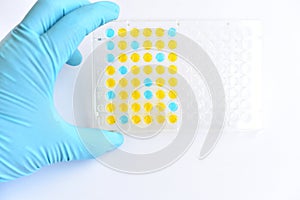 Enzyme-linked immunosorbent assay or ELISA plate