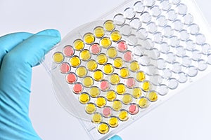 Enzyme-linked immunosorbent assay or ELISA plate