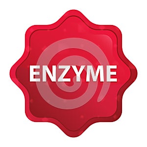 Enzyme misty rose red starburst sticker button