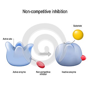 Enzyme. Non-competitive inhibition. inhibitor is a molecule