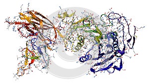 Enzyme pancreatic lipase-colipase complex