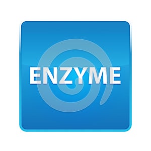 Enzyme shiny blue square button