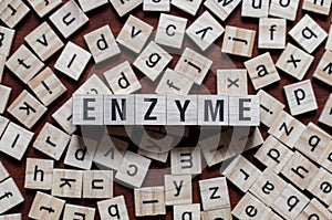 Enzyme word concept