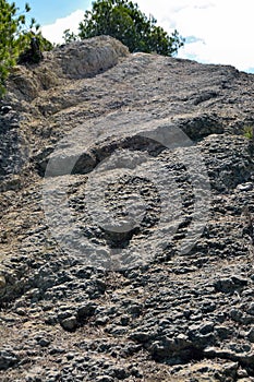 Eocene limestone