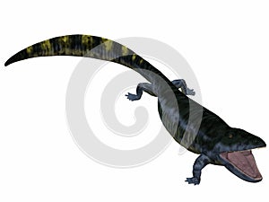 Eogyrinus attheyi - 3D Dinosaur