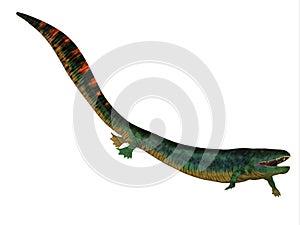 Eogyrinus Tetrapod Side Profile