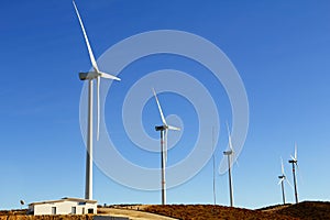 Eolian electric generator near tecate city, baja california, mexico I photo