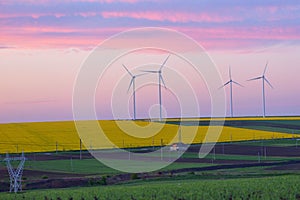 Eolian field and wind turbines