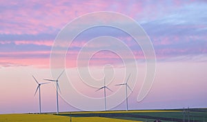 Eolian Field And Wind Turbines