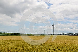 Eolian field and wind turbines farm, near yellow fllowers field, clouds blue sky