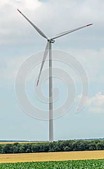 Eolian field and wind turbines farm, near yellow fllowers field, clouds blue sky