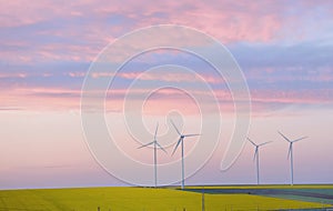 Eolian field and wind turbines photo