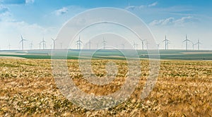 Eolian generators in a beautiful wheat field. eolian turbine farm. Wind turbine, wind field with wind turbines. Wind propeller. Wh