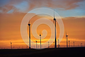 Eolian turbines park at sunet, warm light. Wind power concept photo