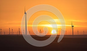 Eolian turbines park at sunet, warm light. Wind power concept