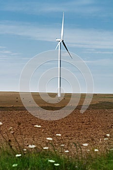 Eolian wind turbine on cultivated field