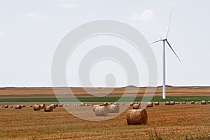 Eolian wind turbine with wheat hay rolls
