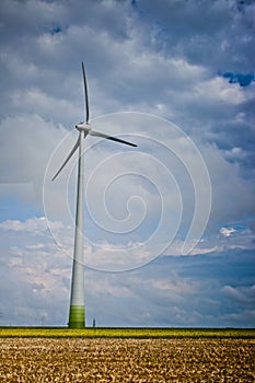 Eolian windmill in crop fild, Dobrogea county