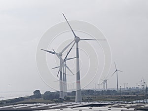 eolic power plant in the harbour of emden , germany