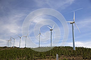 Eolic wind Turbines on a modern windmill farm