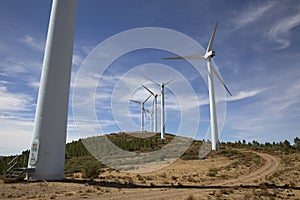 Eolic wind Turbines on a modern windmill farm for alternative energy generation
