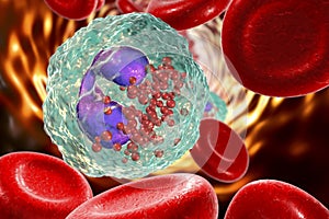 Eosinophil in blood, a white blood cell photo