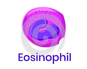 Eosinophil illustration. Allergy leucocyte. The type of white blood cell illustration