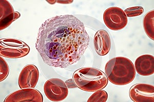 Eosinophil, a white blood cell photo