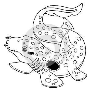 Epaulette Shark Isolated Coloring Page for Kids