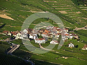 Epesses In Lavaux During Summer