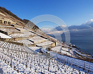 Epesses In Lavaux During Winter With Snow