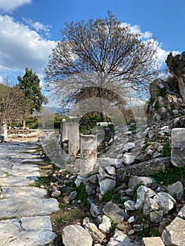 Ephesus; Ancient Greek city of Asia Minor,