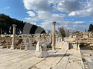 Ephesus; Ancient Greek city of Asia Minor,