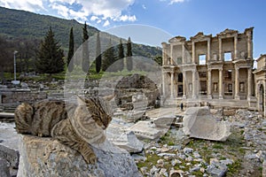 Ephesus historical ancient city and cat. Izmir / Turkey