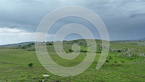 Epic Aerial Over Large Herd Of Wild Horses Running Galloping In Wild Nature Slow Motion Through Meadow Golden Hour Horse