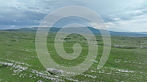 Epic Aerial Over Large Herd Of Wild Horses Running Galloping In Wild Nature Slow Motion Through Meadow Golden Hour Horse