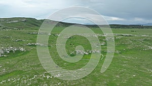 Epic Aerial Over Large Herd Of Wild Horses Running Galloping In Wild Nature Slow Motion Through Meadow Golden Hour Horse