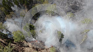 Epic aerial view of smoking wild fire. Large smoke clouds and fire spread. Amazon and siberian wildfires. Dry grass