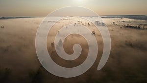 Epic aerial view of sunrise fog covering field with trees.