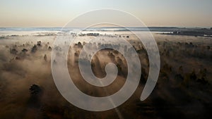 Epic aerial view of sunrise fog covering field with trees.