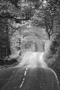 Epic landscape image of road winding through vibrant Autumn Dodd Woods forest in Lake District